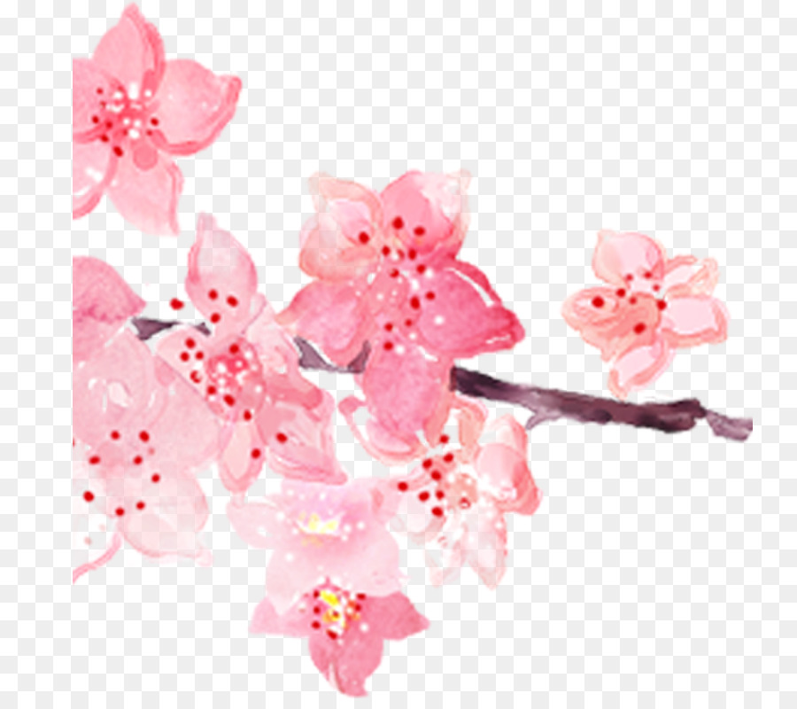 900x800 Pink Cherry Blossom Watercolor Painting