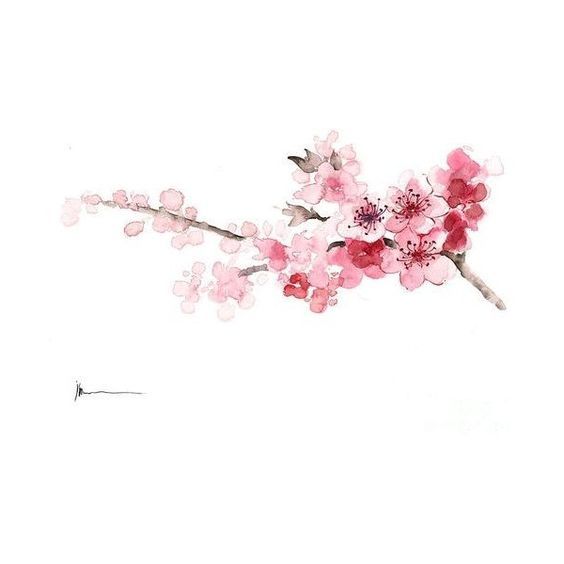 Watercolor Cherry Blossom Tattoo at GetDrawings | Free download