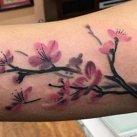 280x280 Darkside Tattoo Flower Cherry Blossom Tattoos