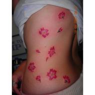 190x190 Watercolor Cherry Blossom Tattoo Girl Tattoos Design