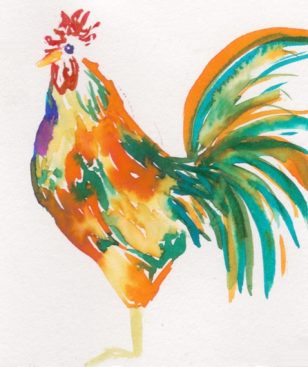 308x367 Fun With Watercolor Chicken Portraits From Our Flock