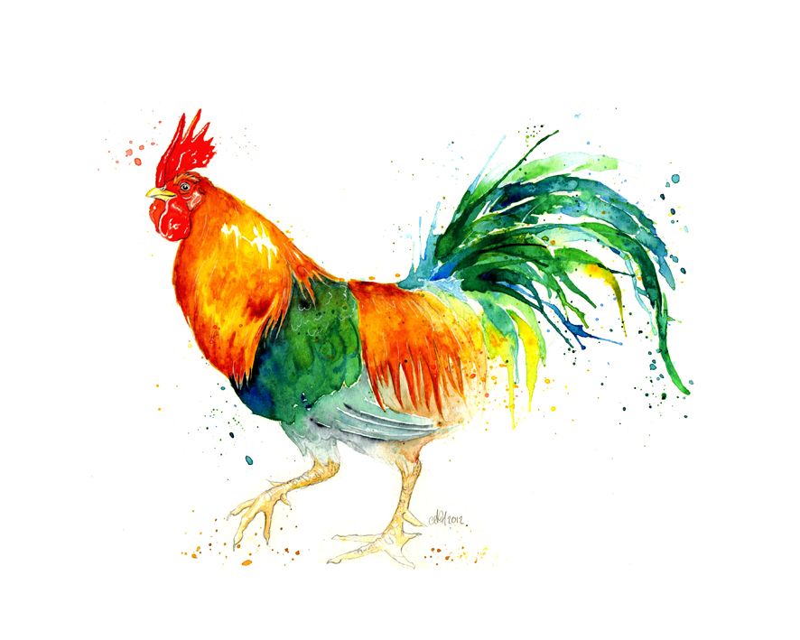 886x709 Image Result For Chickens In Watercolor Chickens