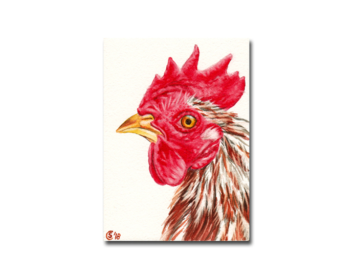 690x546 Rooster 11 Hen Chick Chicken Watercolor By Sandrinesgallery On Zibbet