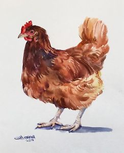 243x300 Rusty Chicken, Hen, Farm Bird, Farm Art, Original Watercolor