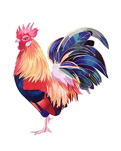 425x531 Rooster Chicken Home Wall Shelf Decor Animal