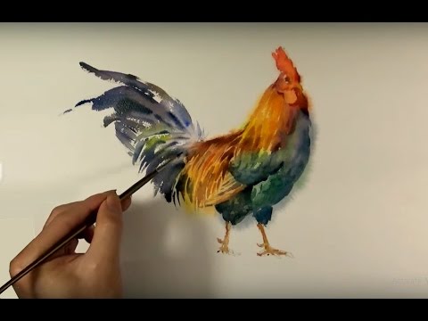 480x360 Watercolor Animals Painting Chicken Paint