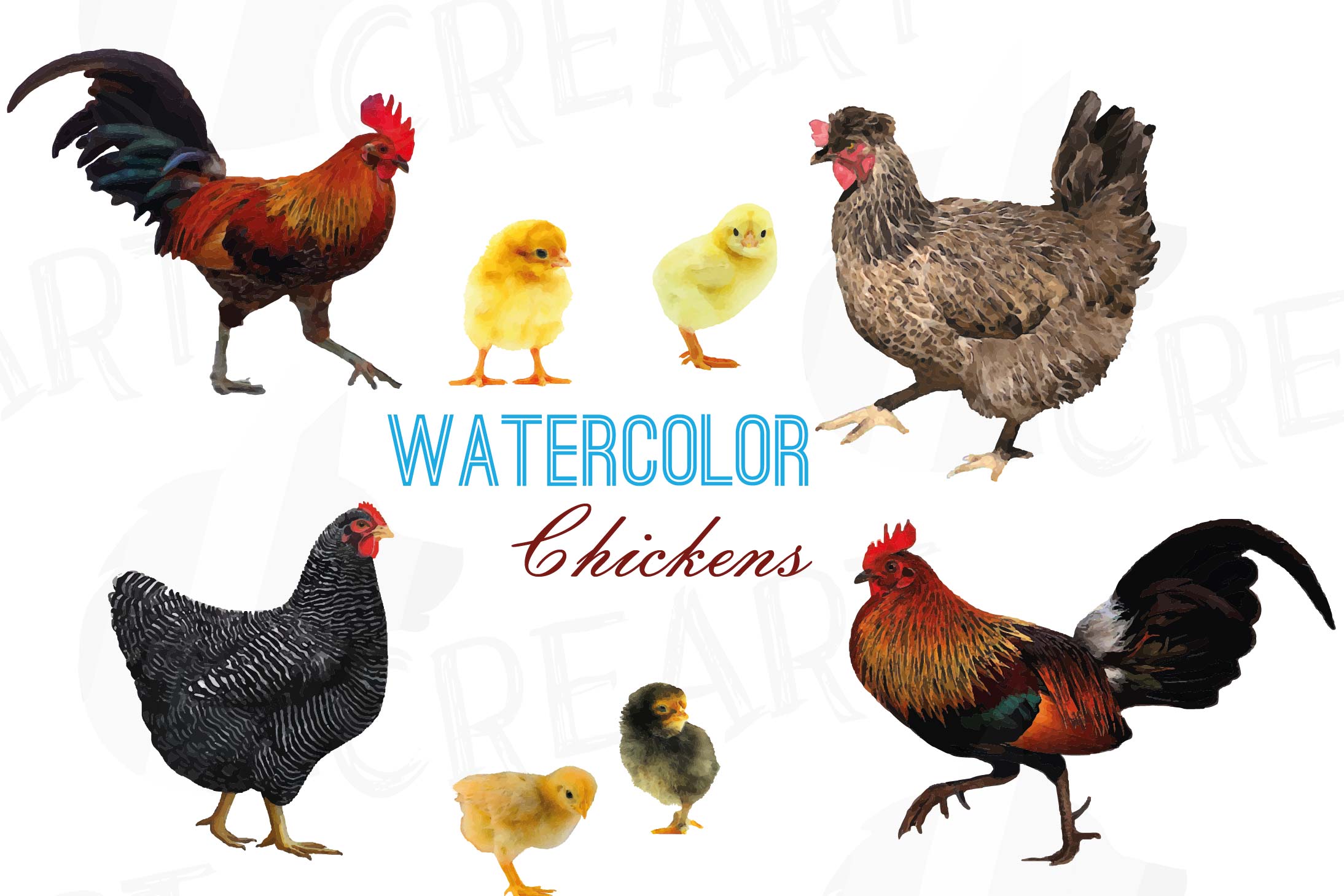 2188x1459 Watercolor Chickens Clip Art Collection, Hen And Rooster