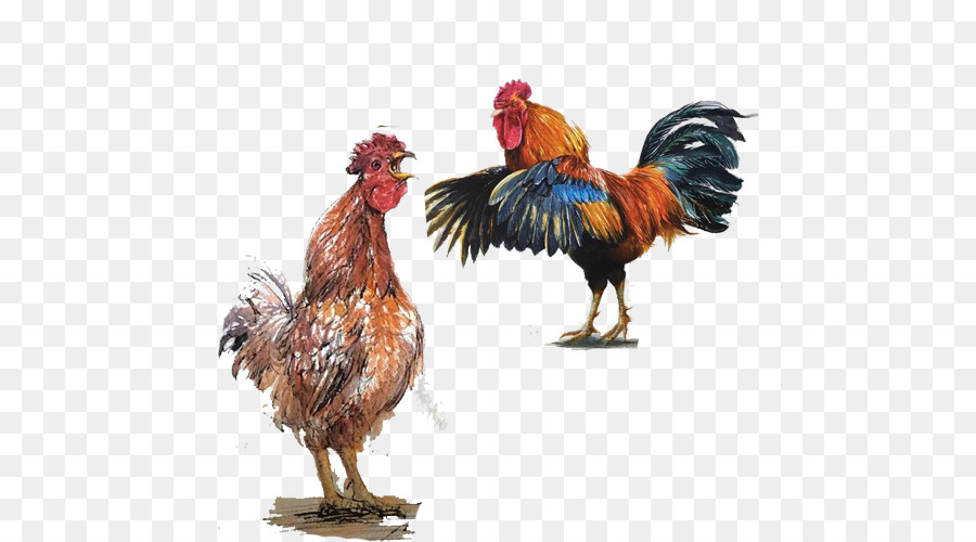 900x500 Chicken Watercolor Painting