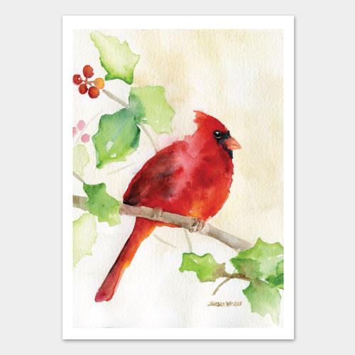 500x500 Cardinal And Holly Watercolor Christmas Card Set Susan Windsor