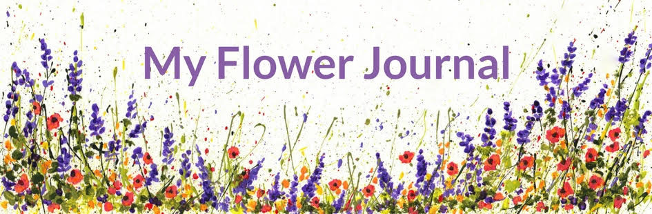 945x310 Watercolor Christmas Lights That Glow