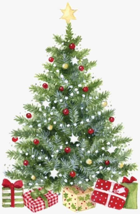 450x687 Watercolor Christmas Tree, Tree Clipart, Watercolor Clipart, Trees