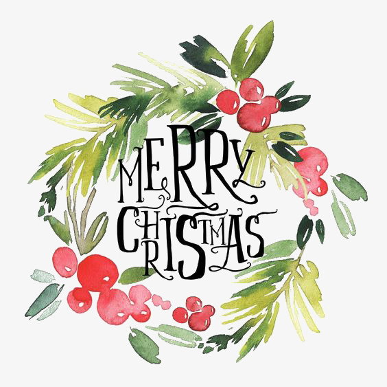 564x563 Hand Painted Christmas Wreath, Festival, Plant, Watercolor Png And