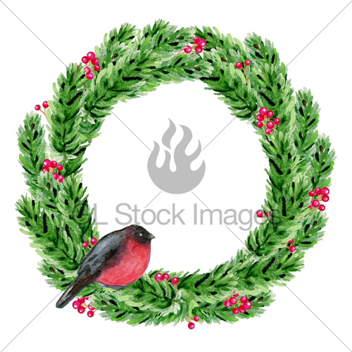 500x500 Watercolor Christmas Wreath With Bullfinch Gl Stock Images