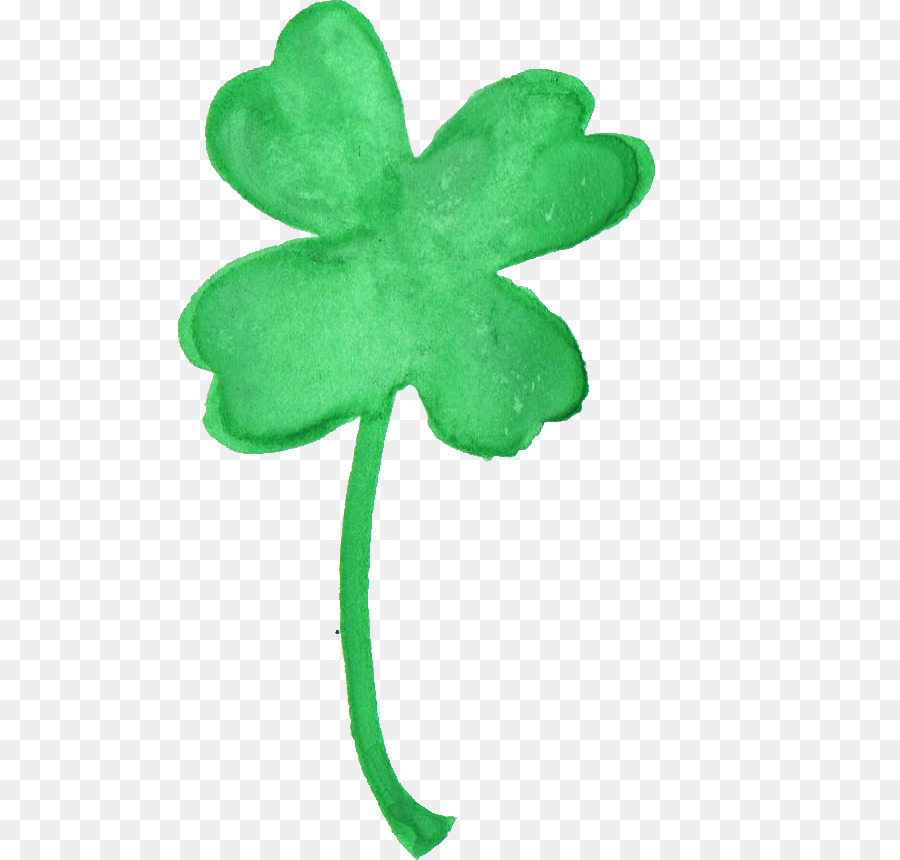 900x860 Leaf Shamrock Plant Stem