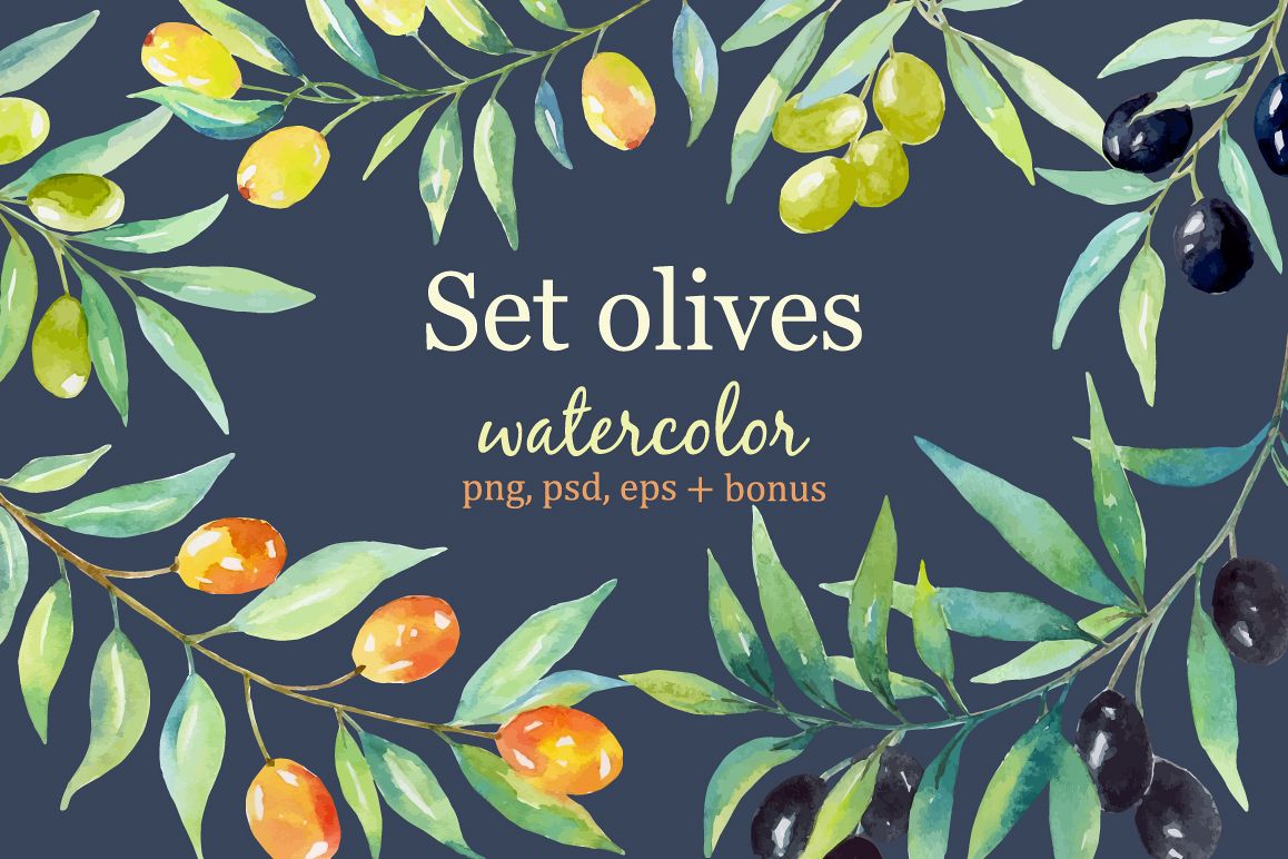1158x772 Olive Set. Watercolor Collection.