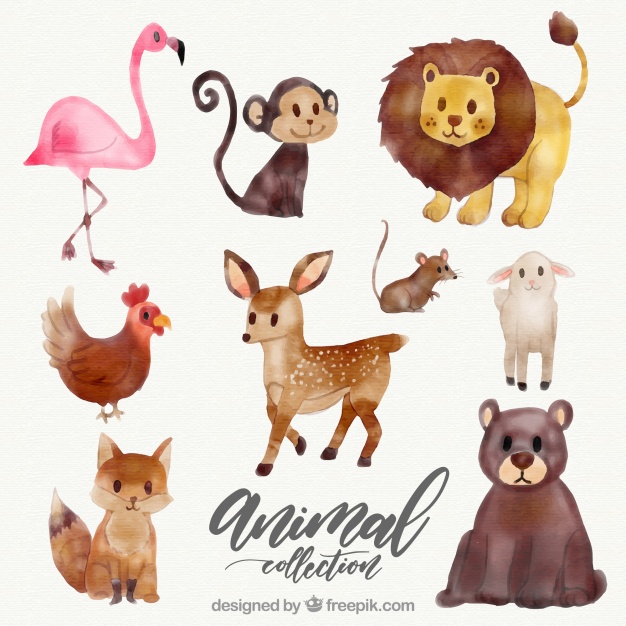 626x626 Watercolor Collection Of Wild Animals Vector Free Download