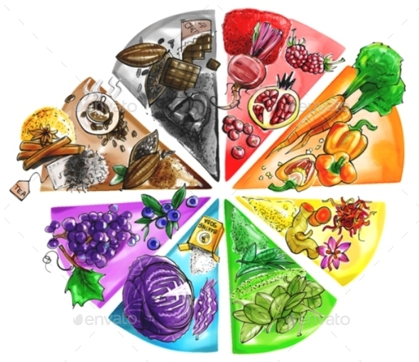 590x510 Food Color Wheel Watercolor Illustration By Mrpodo Graphicriver