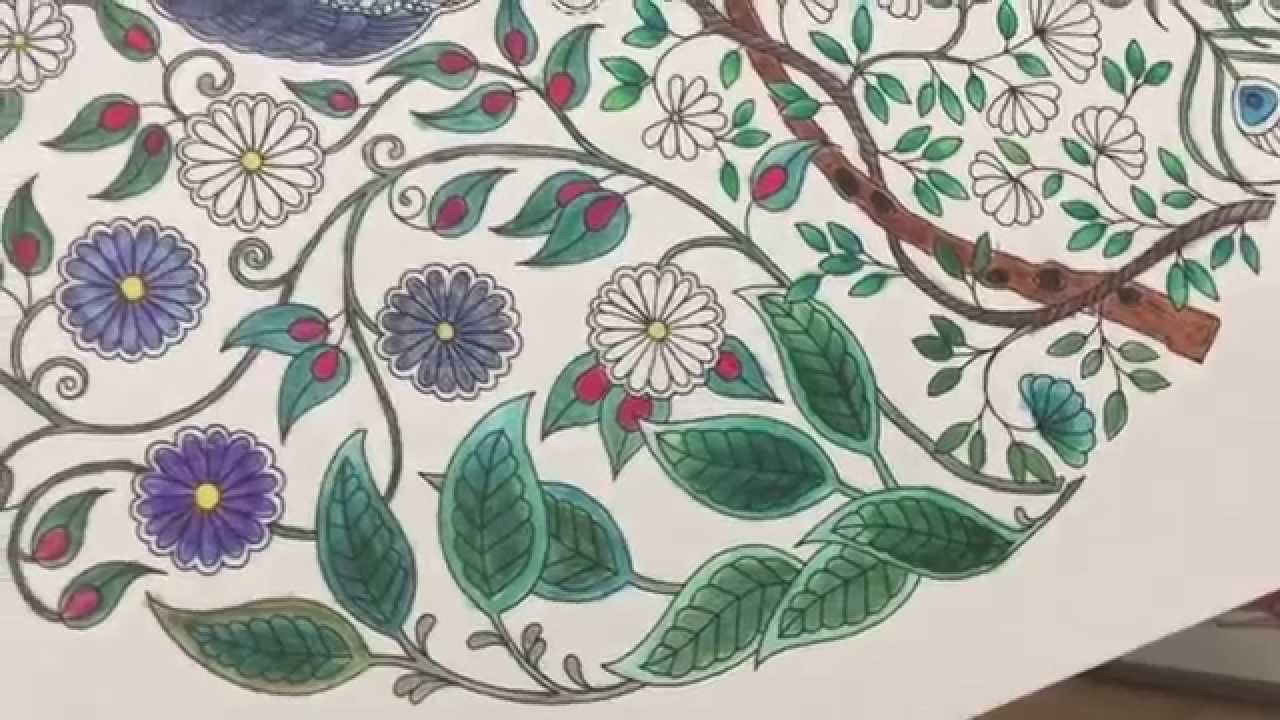 1280x720 How To Use Watercolor Pencils With Adult Coloring Books