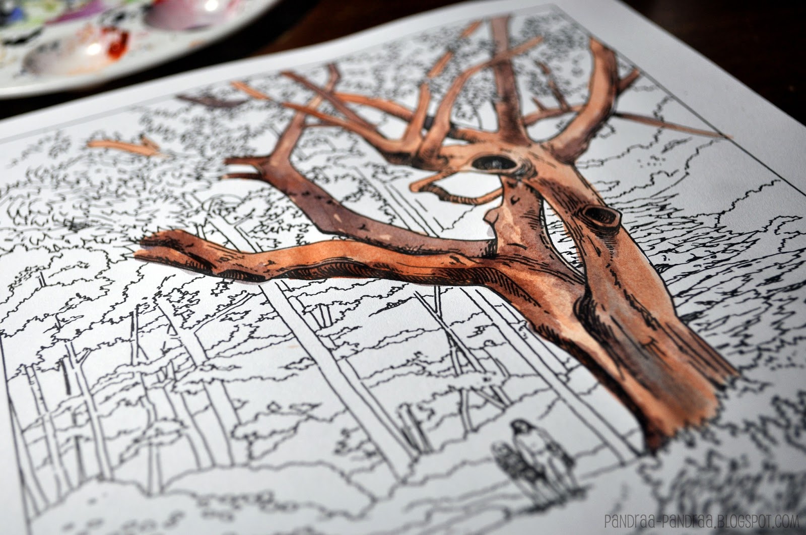 1600x1062 Watercolor Thursdays Coloring Spectacular Watercolor Coloring Books