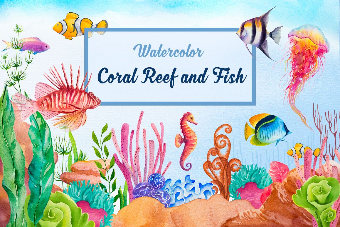 1158x772 Coral Reef And Fish