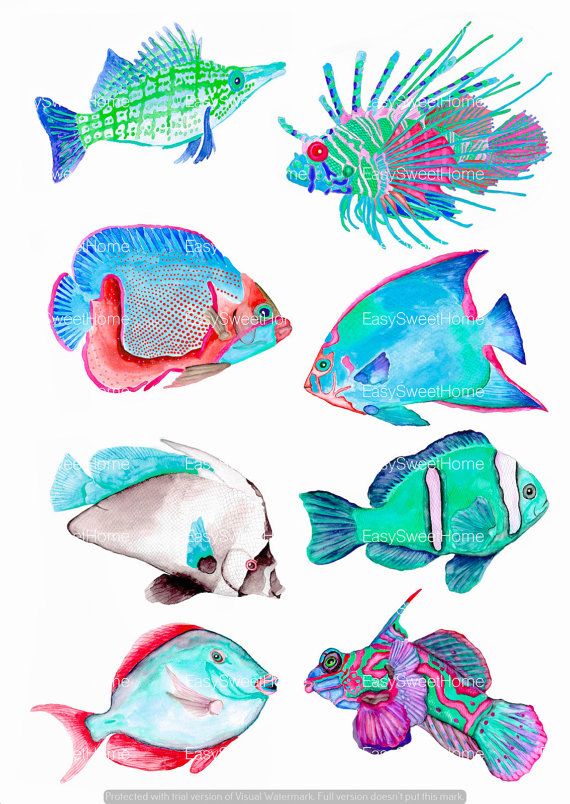 570x804 Watercolor Coral Reef Fish Decals These Are Original Watercolor