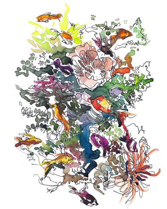 570x713 Coral Reef Tattoo Idea To Do List Coral Reefs