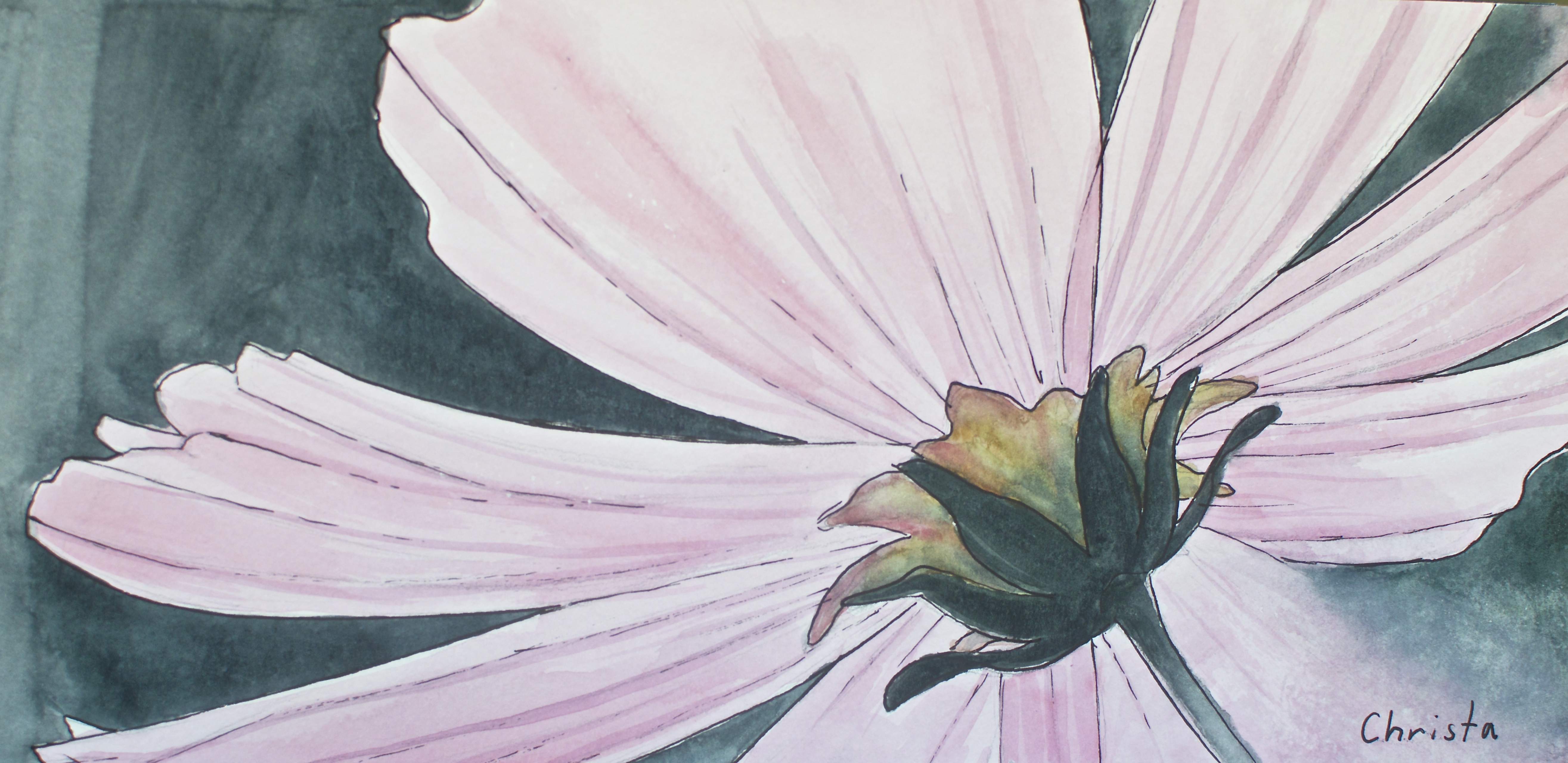 5261x2560 Featured Watercolor