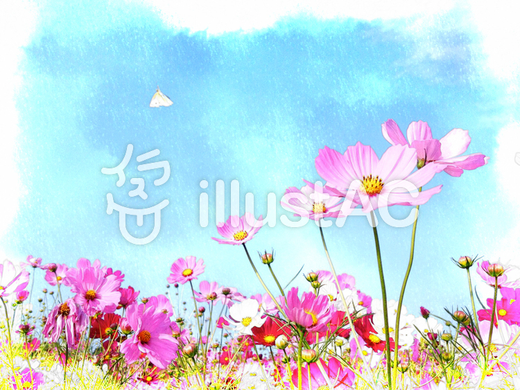 750x563 Free Cliparts Cosmos Watercolor