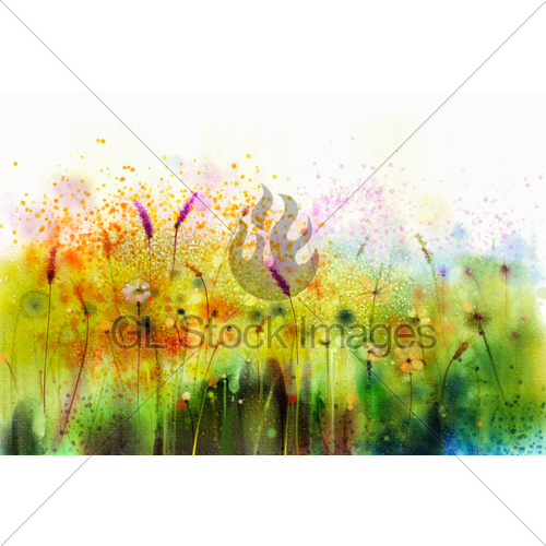 500x500 Abstract Watercolor Painting Purple Cosmos Flower Gl Stock Images