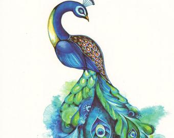 340x270 Peacock Watercolor Etsy