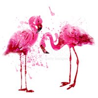 200x200 Vector Watercolor Pink Flamingo Couple In Splashes Stock Vectors
