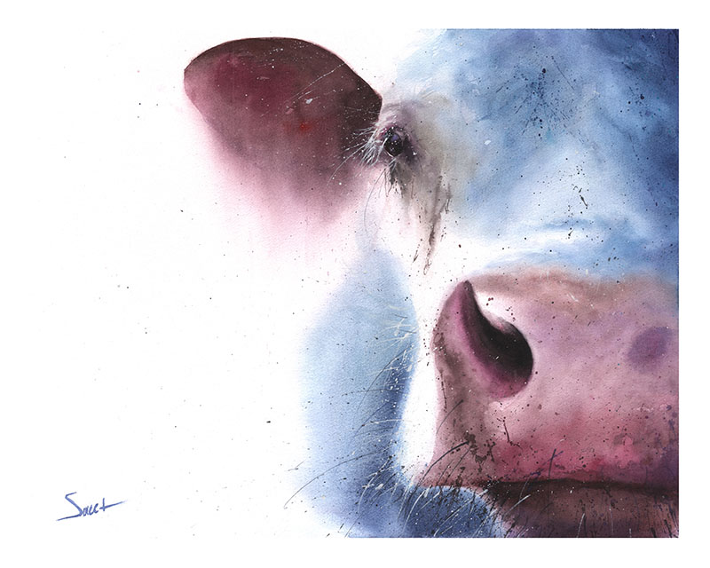 800x640 Cow Watercolor Print Watercolor Animal Paintings