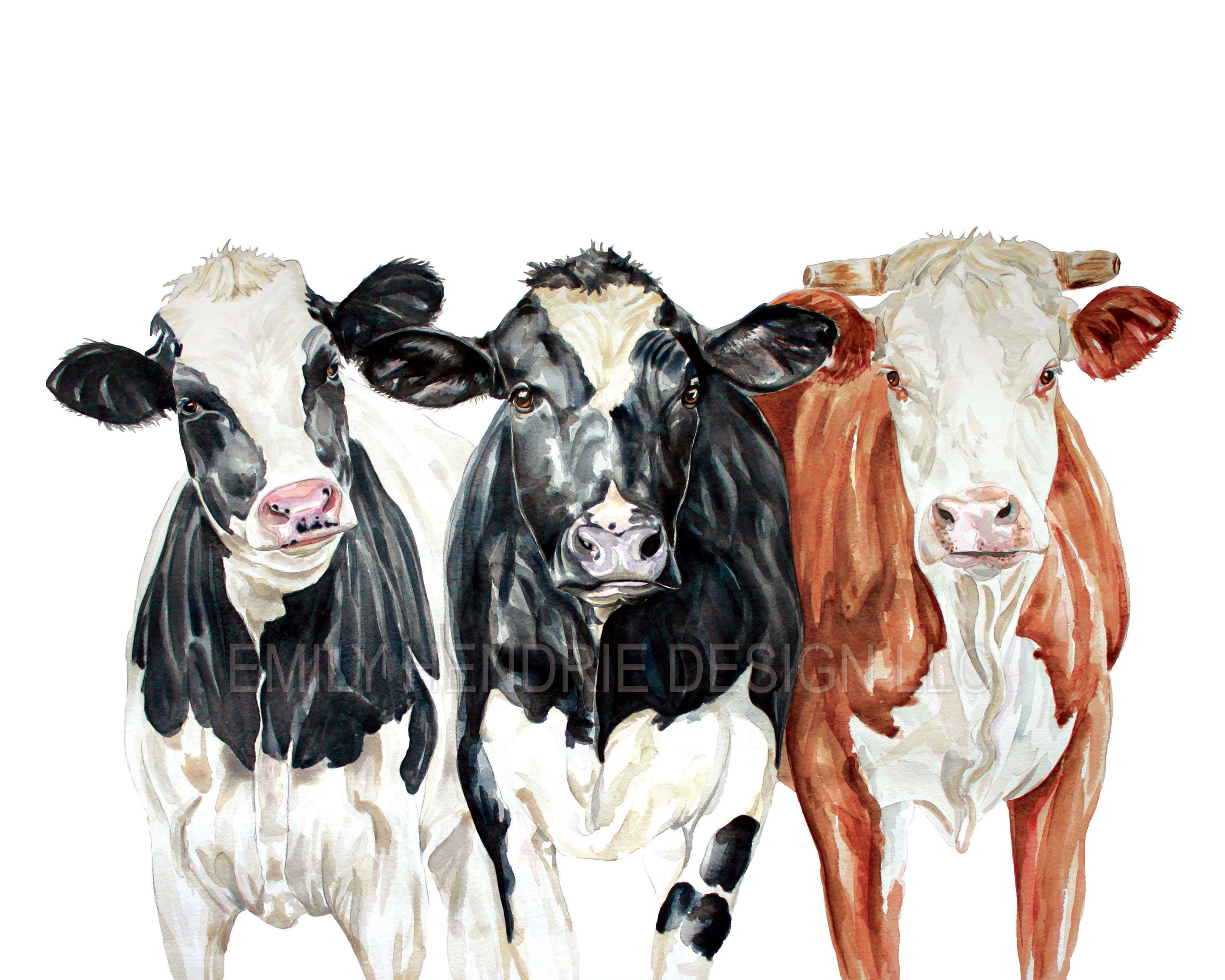 3000x2400 Farm Cows Watercolor Print Cow Watercolor Art Print