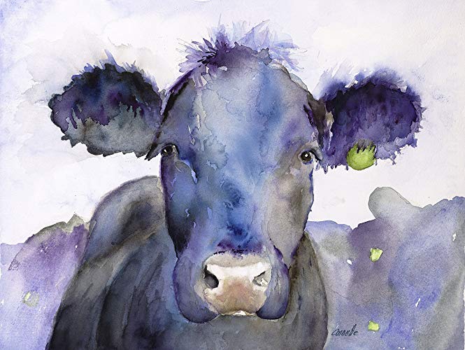 665x500 Black Angus Cow Cattle Original Watercolor Print And