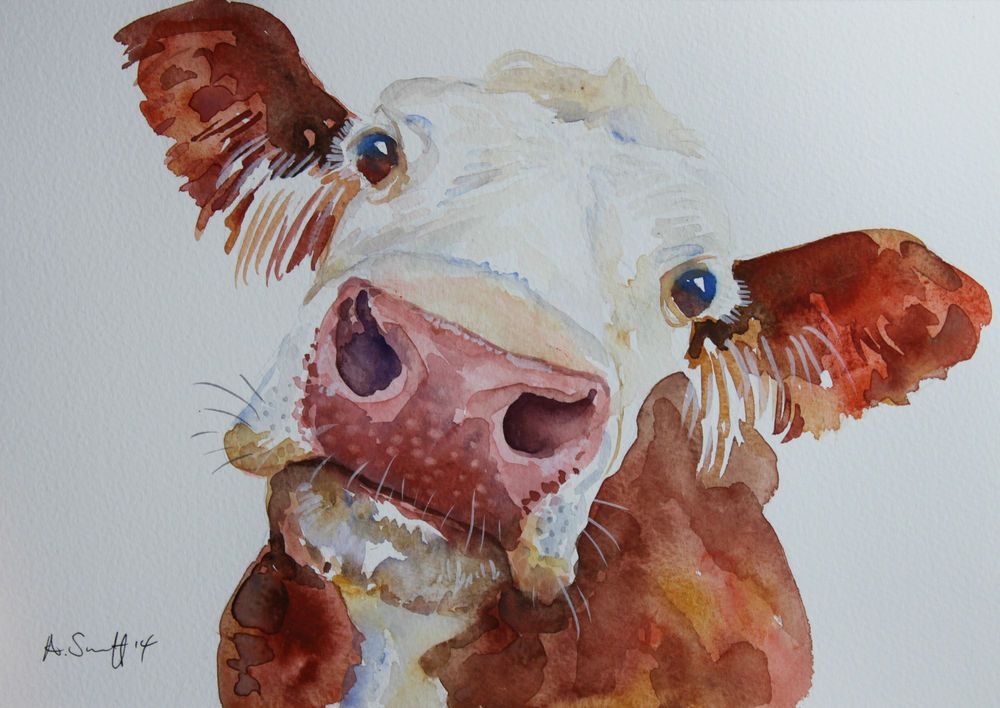 1000x708 Unique Original Brown Cow Cattle Farm Watercolour Painting