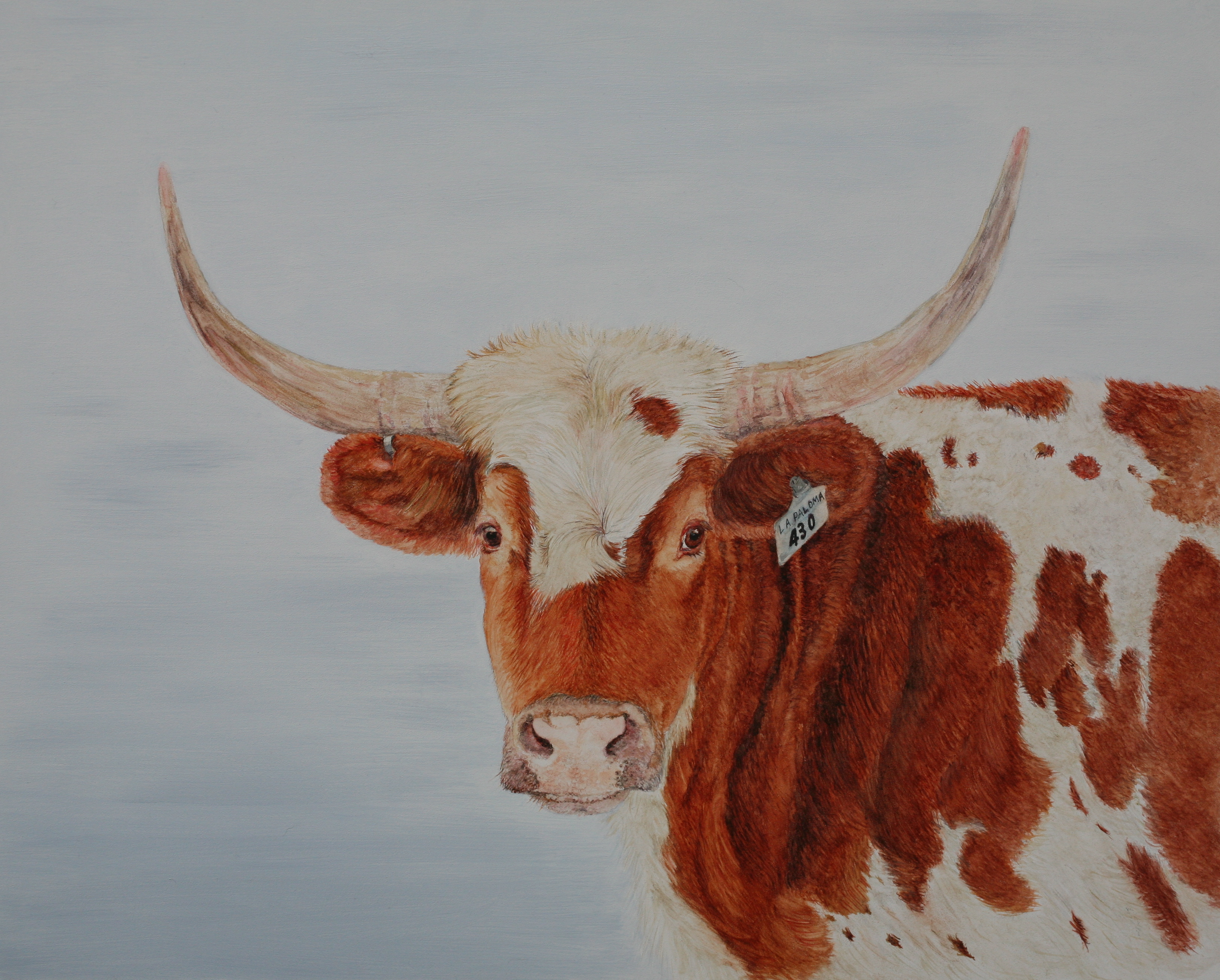 3248x2610 Watercolor Cow Painting Dana Spring Parish