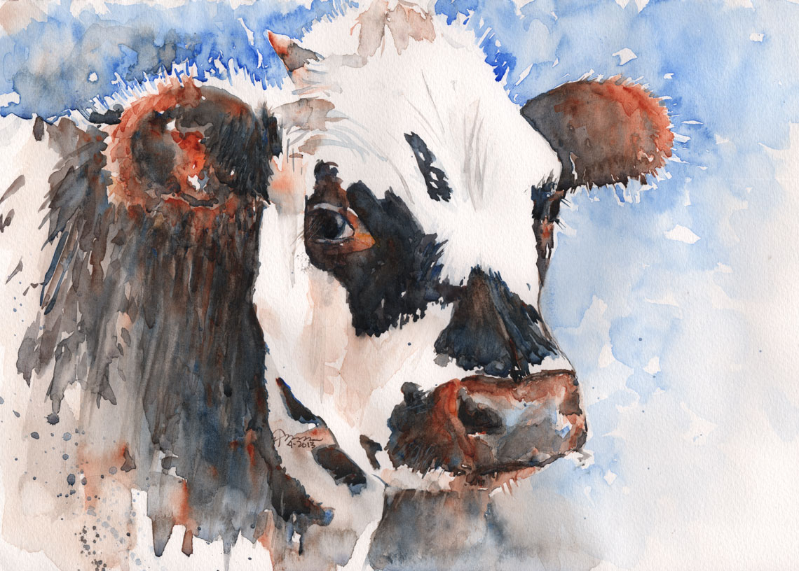 1140x816 Cow Claudia Hafner Watercolor