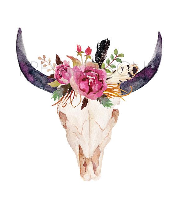570x713 Cow Skull, Printable Wall Art, Wall Decor, Feather, Boho