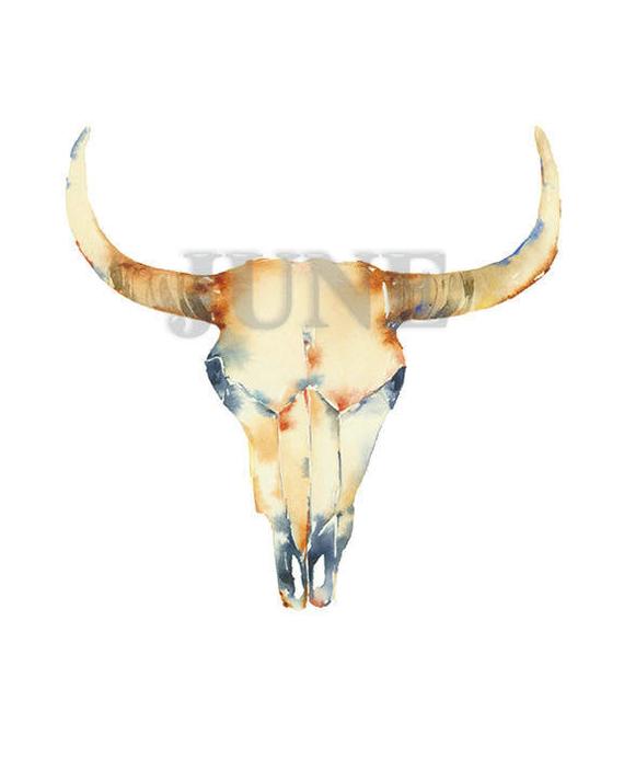 570x713 Cow Skull 8 X 10 11 X 14 June Watercolor June Watercolor Etsy
