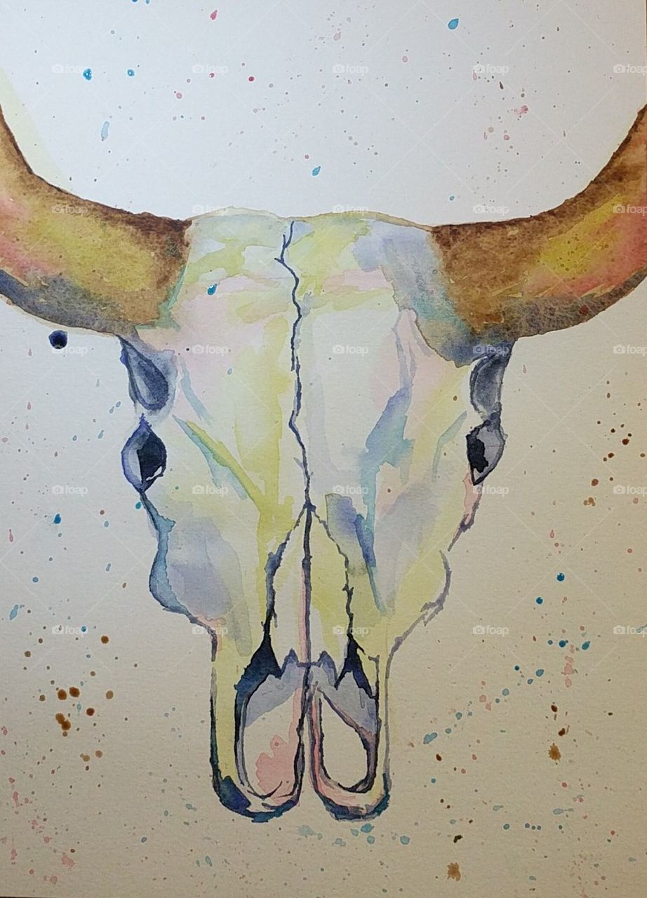 922x1280 Watercolor Cow Skull Stock Photo By Lissamae315