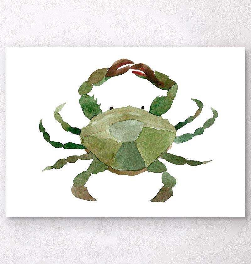 800x842 Crab Ii