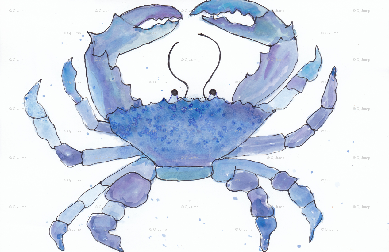 1268x822 Sea Glass Blue Watercolor Crab Wallpaper