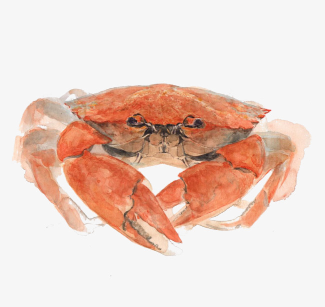 650x615 Simple Watercolor Crabs, Simple, Watercolor, Crab Png And Psd File