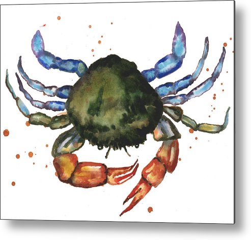 493x471 Watercolor Crab Painting Metal Print By Alison Fennell