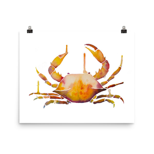600x600 Watercolor Crab Print Will Decrease Crabbiness! Selkie Stationery