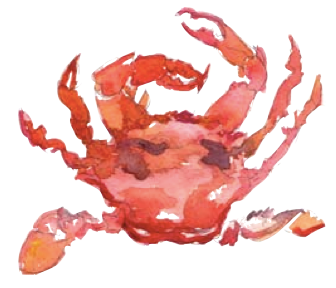 336x288 Watercolor Crab Astrostyle Astrology And Daily, Weekly, Monthly