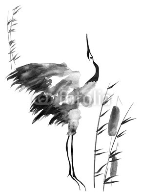 291x400 Japanese Crane Bird Drawing. Watercolor And Ink Illustration In