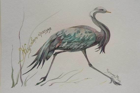 570x381 Original Watercolor Paintingcrane Original Artwork Original Etsy