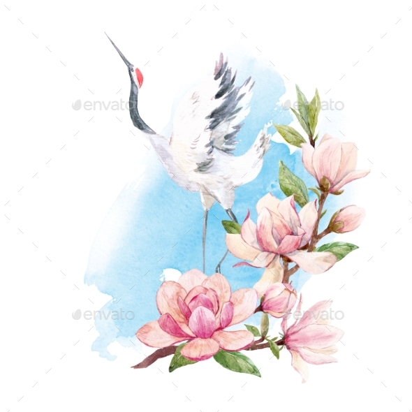 590x590 Watercolor Crane Composition By Zenina Graphicriver