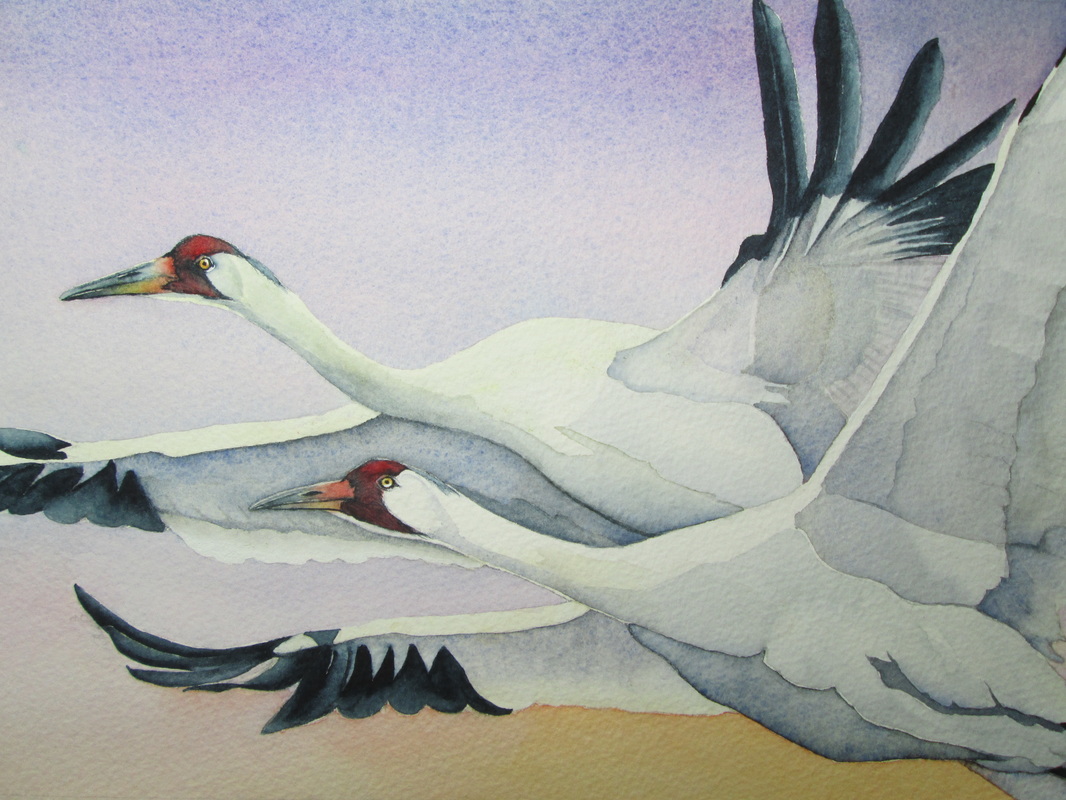 1066x800 Wildlife Watercolors And Acrylics, Pet Portraits